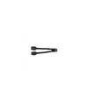 1000009774.webp