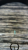 b47e4c0d-c455-4d13-b8cb-7220d2f6608e.webp