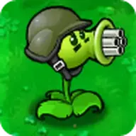 deniz_z3