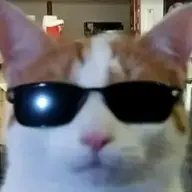 Algosman