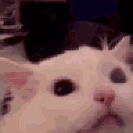 tgrdmz