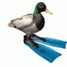Toprak Esen