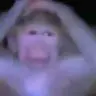 tnhnkyl1