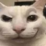 Preloader