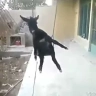furkanxwpq