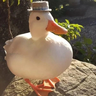 Egel