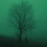 Rhfet