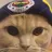 Serhat