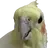 cuneeyt
