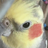 yufus