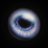 elvisionary