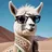 Llama