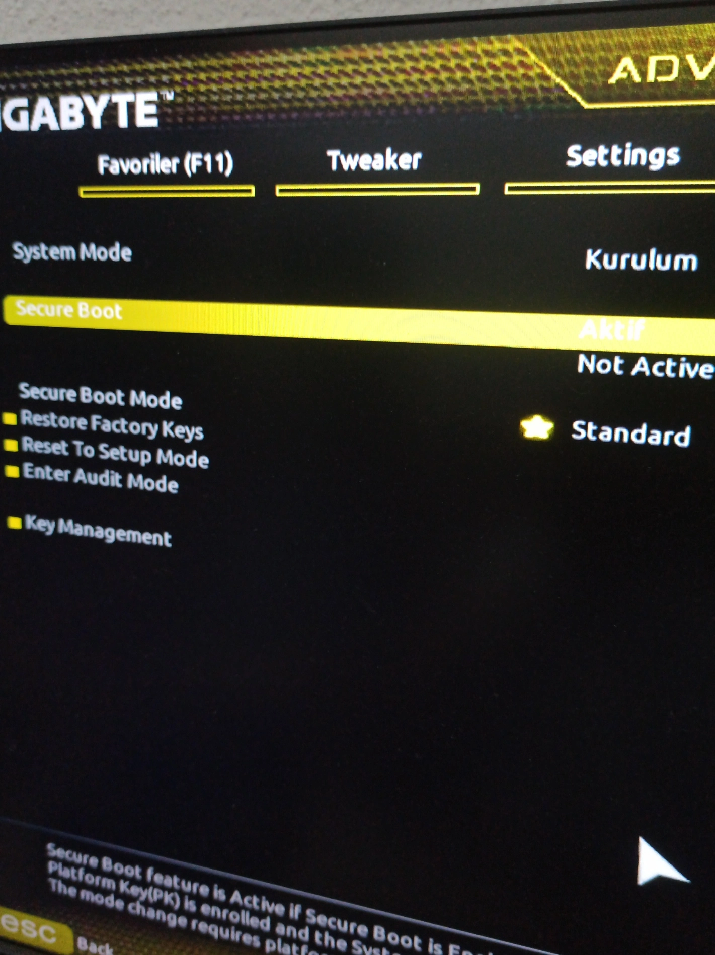 Çözüldü: CSM kapalı ve Secure Boot açık ama açık gözükmüyor | Techolay ...