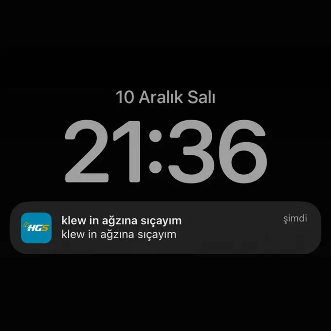 1733857671248.webp