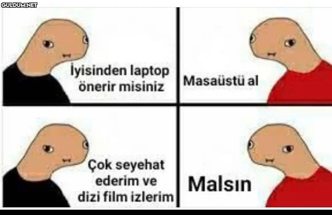 1746529084741.webp