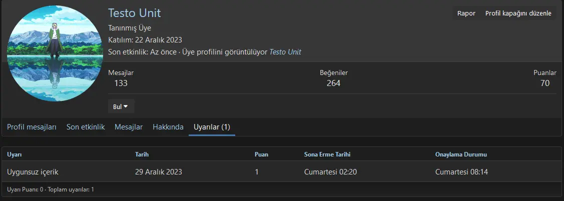 Ekran görüntüsü 2024-01-05 204357.webp
