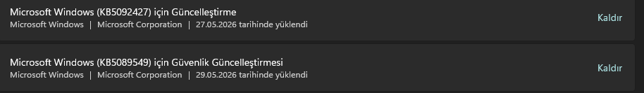 Ekran görüntüsü 2026-05-29 224044.webp