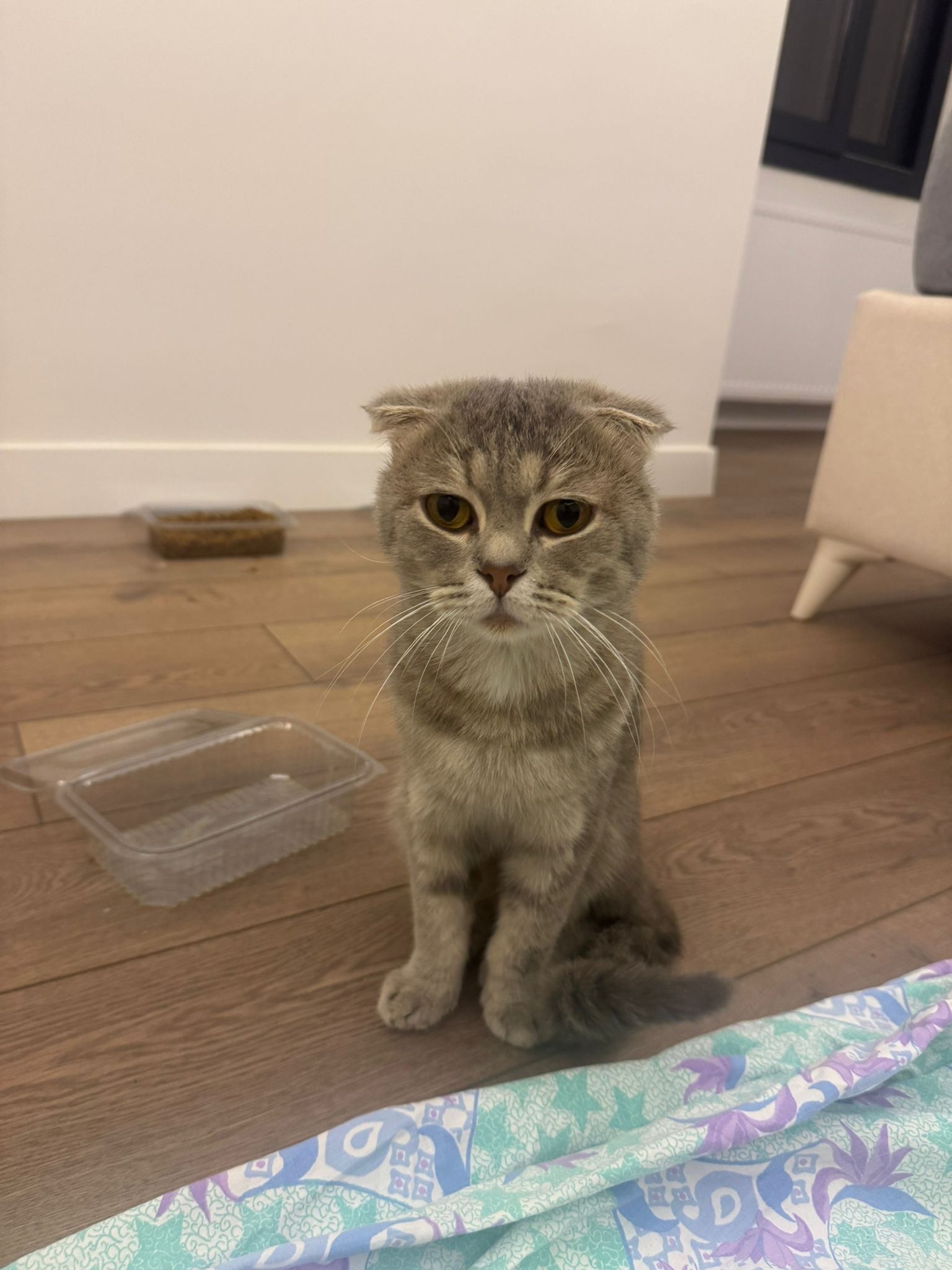 IMG-20260618-WA0017.webp