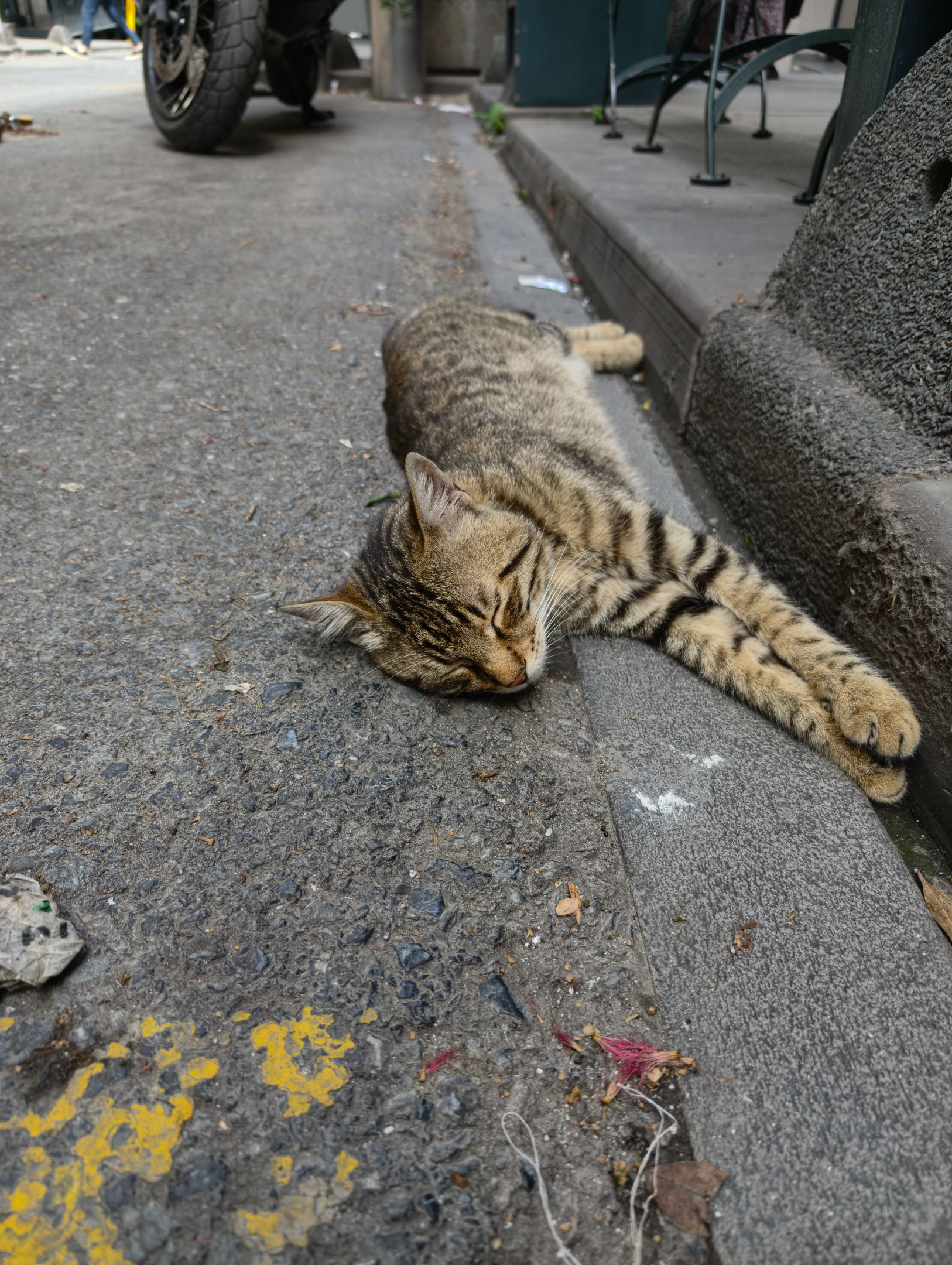 IMG_20260616_150432.webp