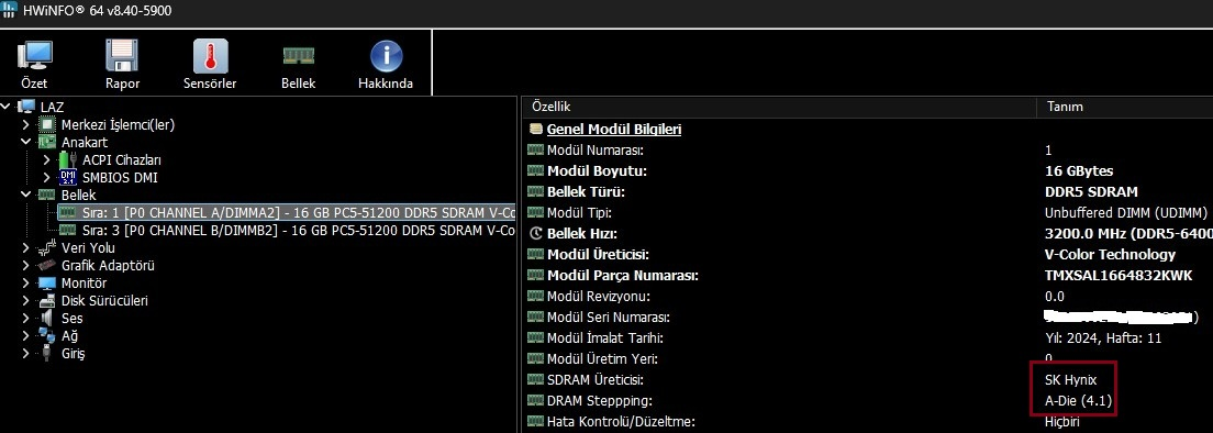 ram  chip.webp